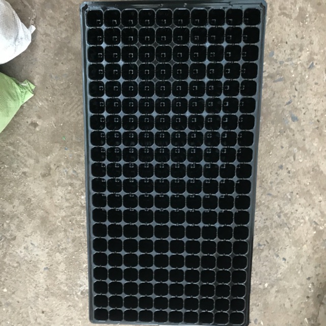 Khay ươm hạt 200 lỗ