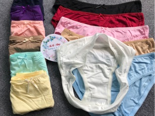 Combo 10 quần lót cotton trơn đánh bông