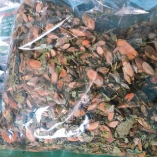 1 kg chè dây ( trà dây) Măng Đen