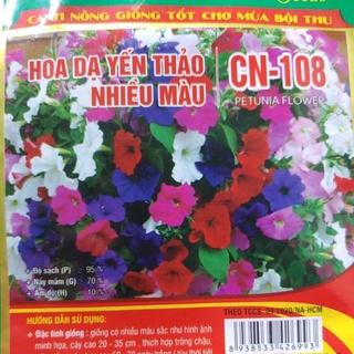 HẠT GIỐNG HOA DẠ YẾN THẢO NHIỀU MÀU