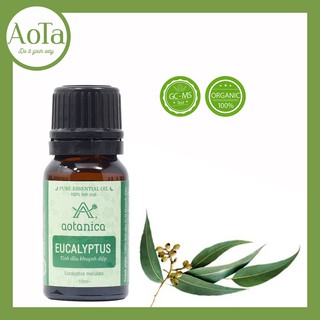 Tinh dầu khuynh diệp Aotanica