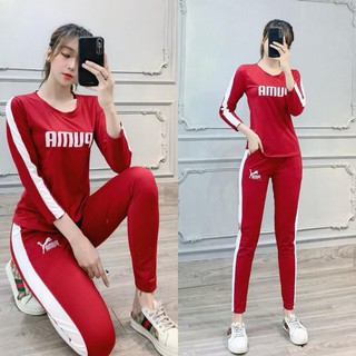 Đồ bộ nữ thể thao mặc nhà, vải cotton quần dài tay dài đẹp - Chất liệu thun co giãn 4 chiều thoáng mát A006