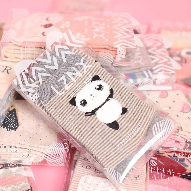 Set 2 đôi tất nữ cao cổ dễ thương