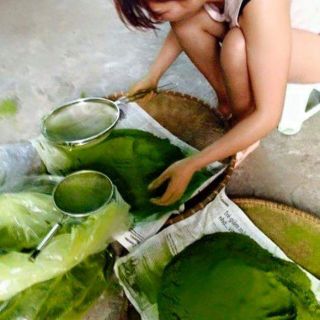 Bột trà xanh nguyên chất