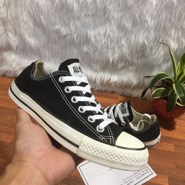 Converse Size 37