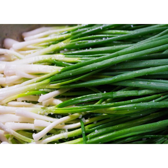 Hạt Giống Hành Lá Cao Sản  -  - Thơm, Giàu Dinh Dưỡng