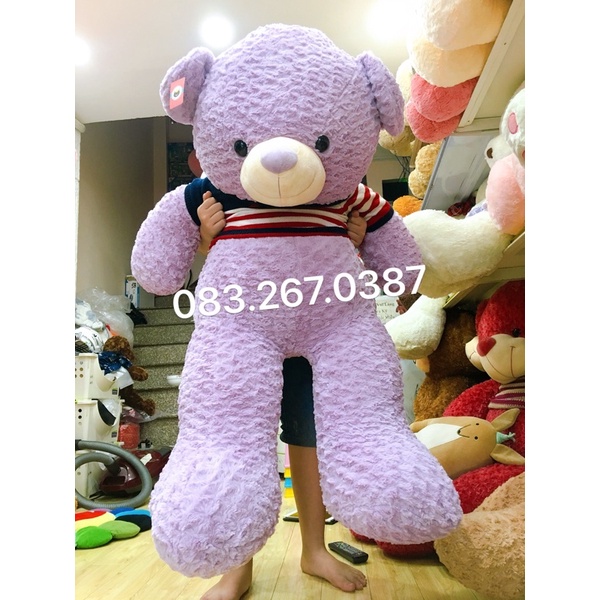 Gấu bông teddy tím áo len 1m4