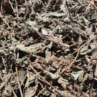 HƯƠNG NHU KHÔ HÀNG ( TỰ NHIÊN LOẠI 1). 100G, TỐT CHO TÓC dùng nấu dầu gội