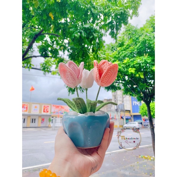 CHẬU HOA TULIP HANDMADE
