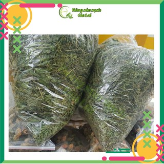 DÂY khổ qua rừng (DÂY mướp đắng rừng)