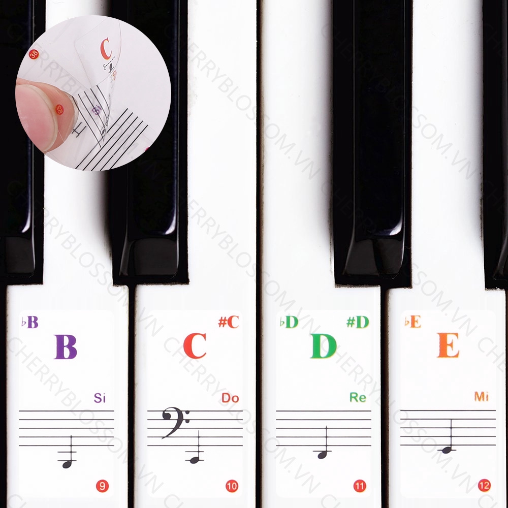 【COD】Miếng Dán Phím Đàn Piano Trong Suốt Loại 88 / 61 / 54 / 49 / 37 / 32 Phím Tiện Dụng