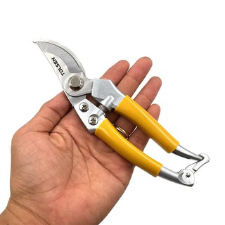 31032 kéo cắt cành tolsen