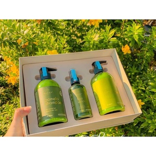 COMBO Dưỡng Tóc VIJULLY (Gội bưởi - xả dừa - xịt bưởi) - CHÍNH HÃNG 100%