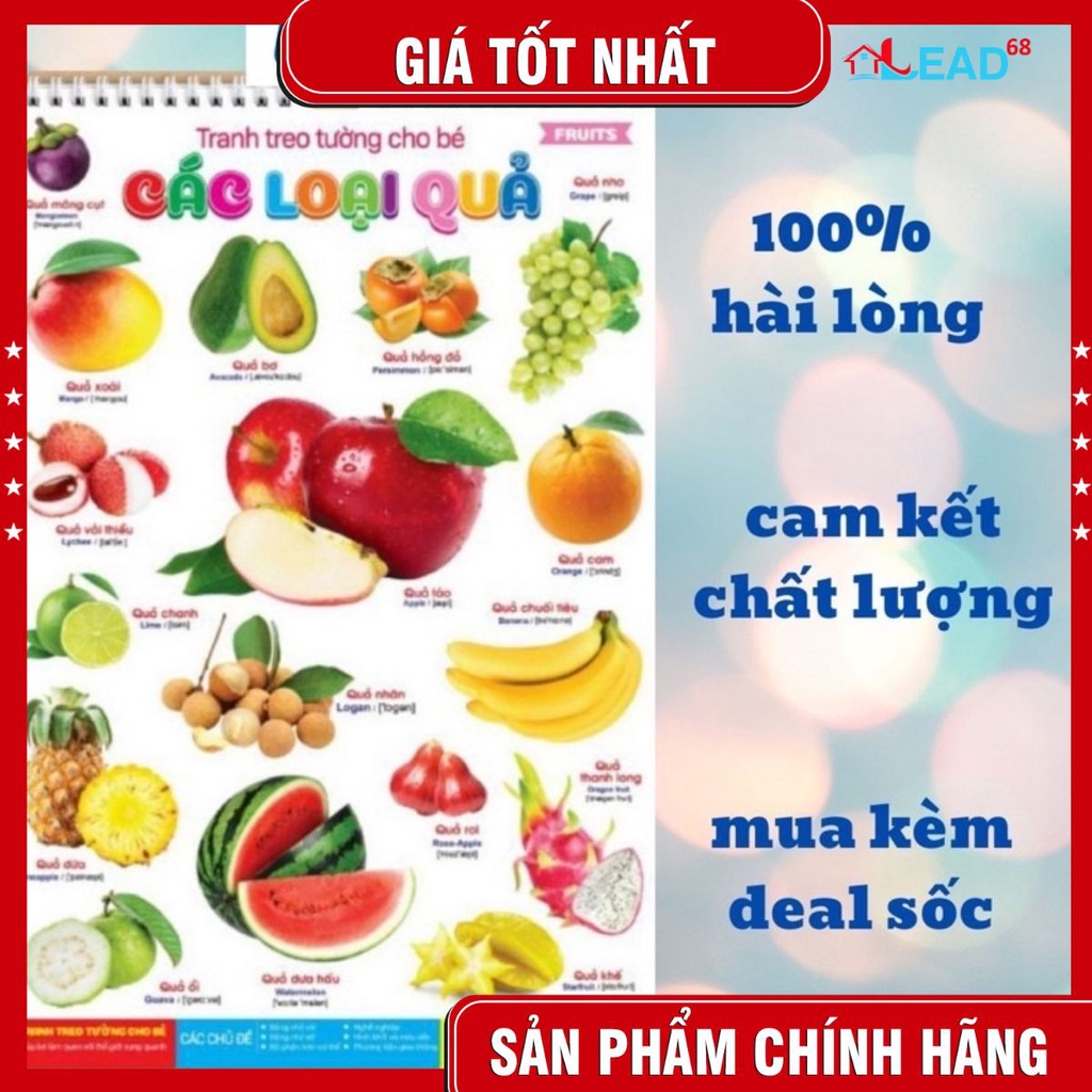 Bộ tranh song ngữ 14 chủ đề chữ cái,con vật , nghề nghiệp, hoa quả...