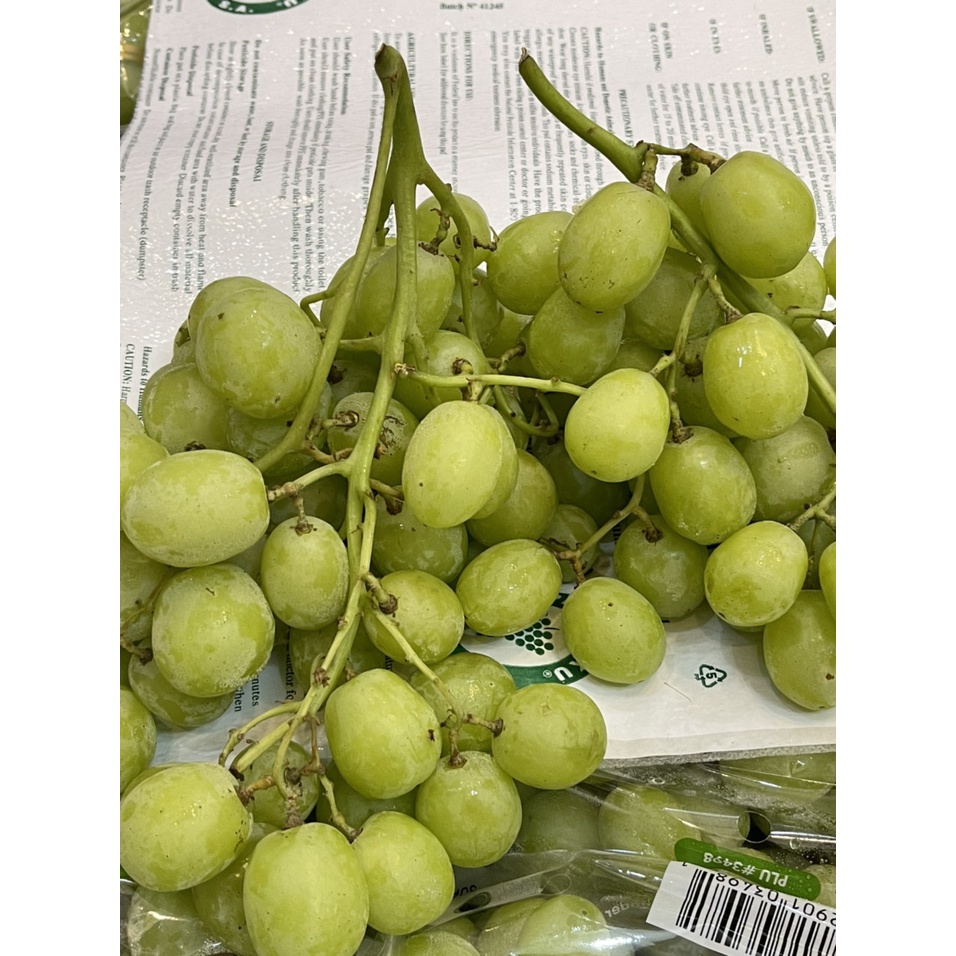 Nho Xanh  Trái Cây Nhập Khẩu