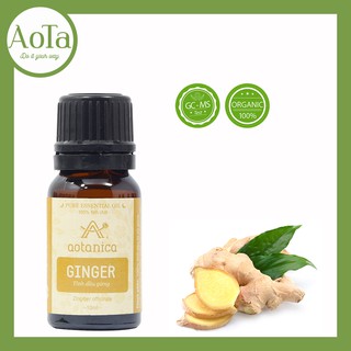Tinh dầu gừng Aotanica