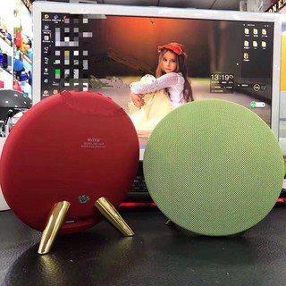 Loa WS 1625