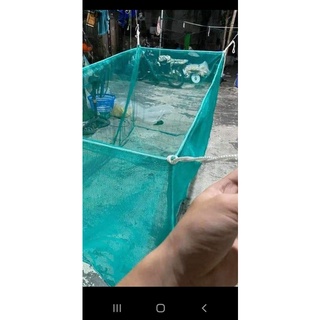 Tráng Nuôi Cá, Nuôi ốc