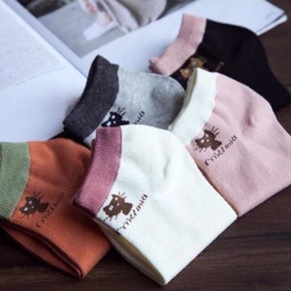 COMBO 5 ĐÔI TẤT MIU NỮ XITEEN
