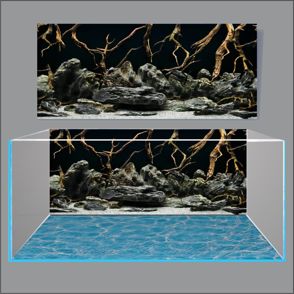 TRANH THỦY SINH DÁN HỒ CÁ 3D NEW DESIGN_TRANH LƯNG