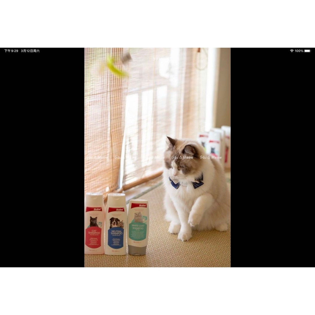 Bioline Cat shampoo Sữa tắm dầu tắm gội cho mèo dưỡng bóng sáng lông khử mùi - nhiều loại cho nhiều màu lông
