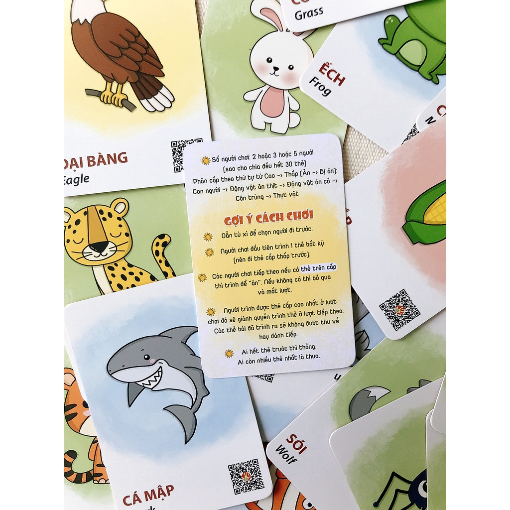 BỘ THẺ HÌNH FLASHCARD SONG NGỮ “WHO EAT WHOM?” - “CON GÌ ĂN GÌ?”