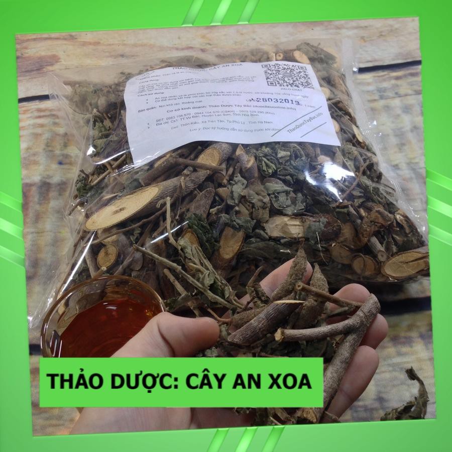 Cây An Xoa Hoa Tím