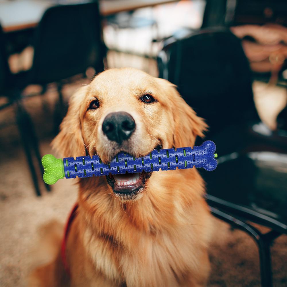 Bàn Chải Đánh Răng Silicone Massage Chăm Sóc Cho Chó