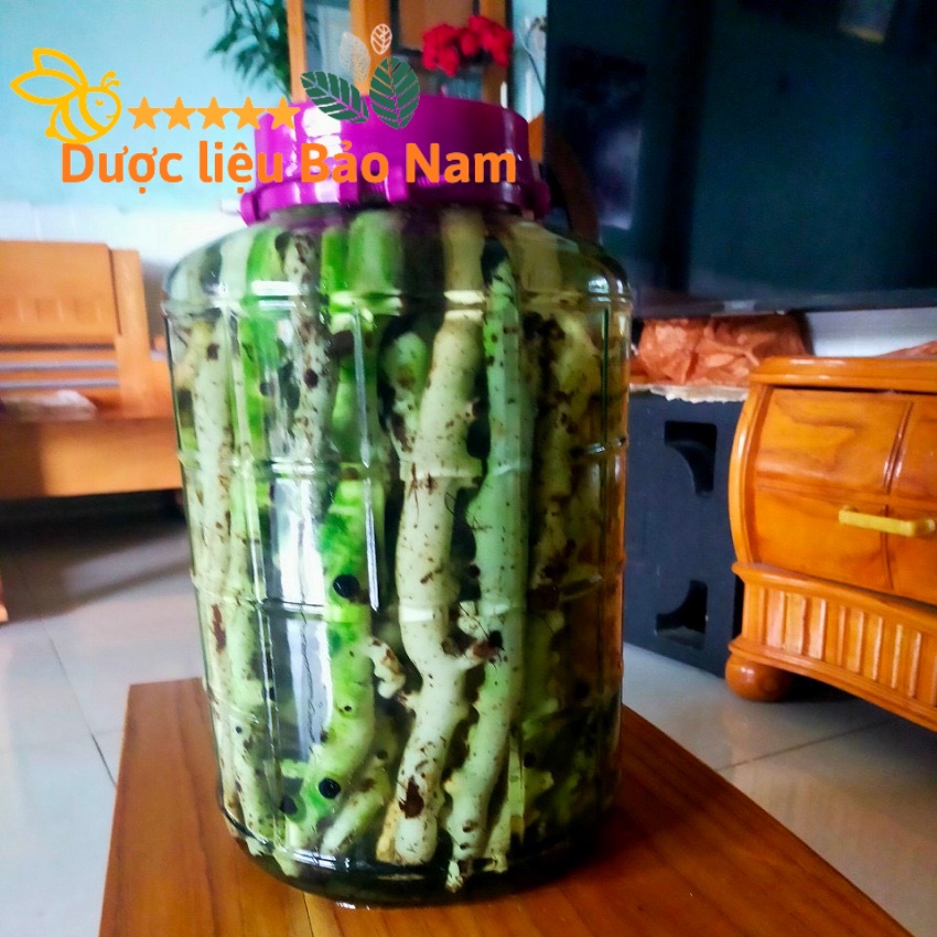 Tắc Kè Đá  tươi Tây Bắc 1kg