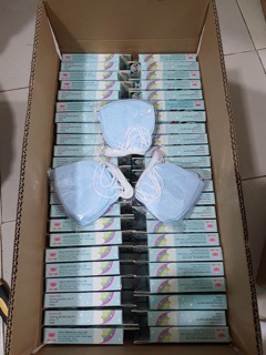 Khẩu trang 3D gấu cho bé Biden