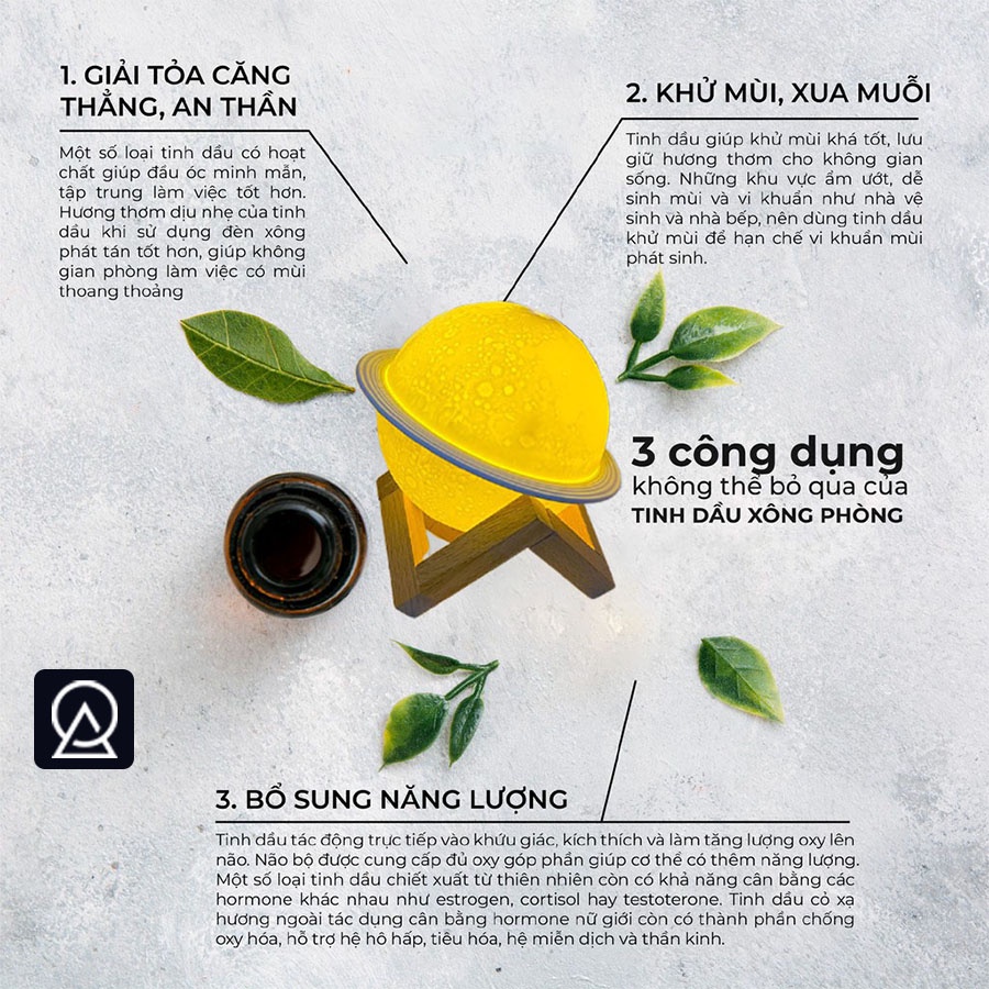 Tinh Dầu Quế (10ml) - Cinnamon Thiên nhiên nguyên chất Hàng cao cấp