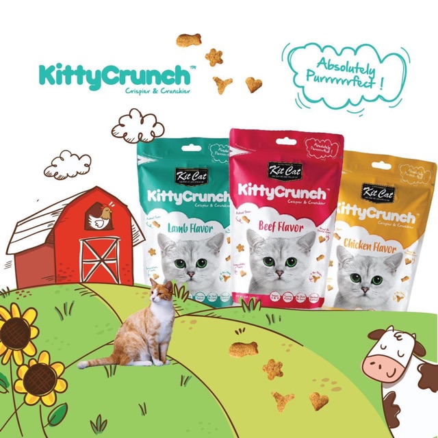 Kitty Crunch - snack bánh thưởng cho mèo, nhiều vị, thơm ngon của Kit Cat, thức ăn vặt cho mèo - Kitty Pet Shop