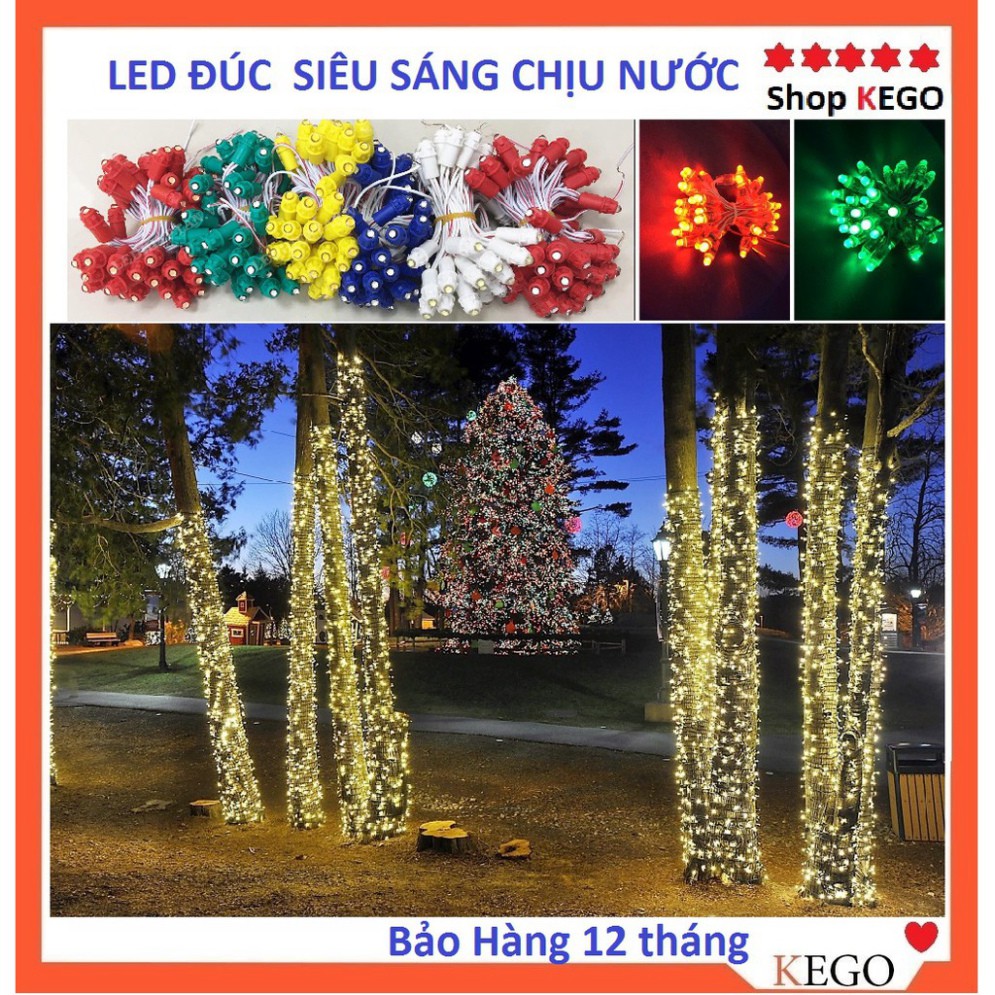 Đèn Led trang trí dây đúc F5 ( Loại 1) bọc nhựa quấn cây chịu nước điện 12V ( bảo hành 12 tháng )