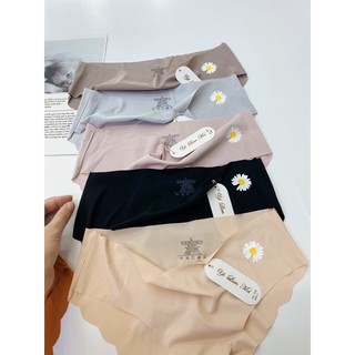 COMBO 10 QUẦN SU HOA CÚC MS1038