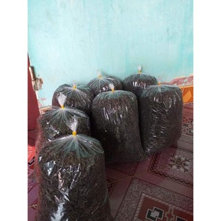 Chè Búp Thái nguyên