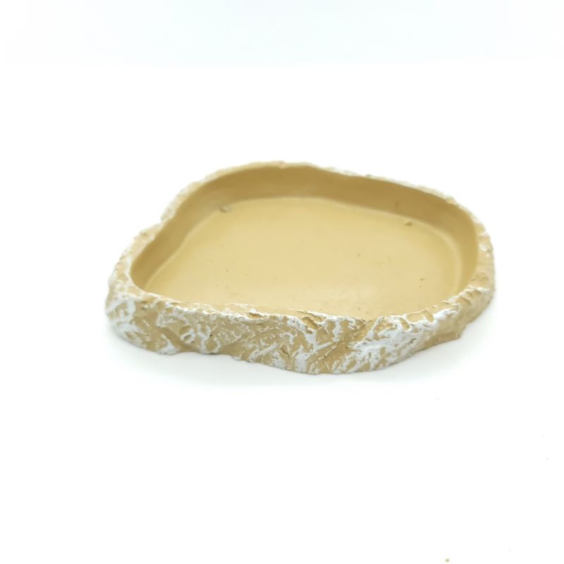 Chén ăn, uống cho rùa và bò sát