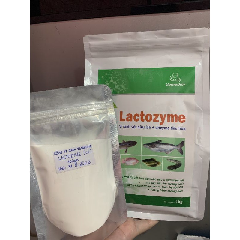 Lactozyme - men đường ruột cho cá