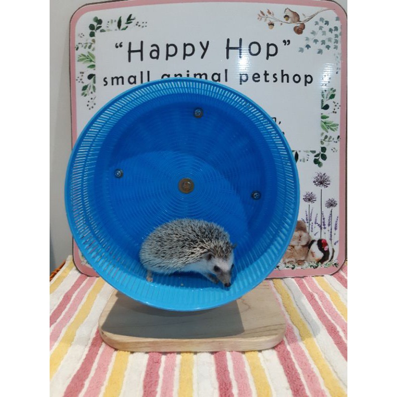 Bánh Xe Mini 25cm Cho Chuột Hamster