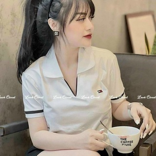 Áo phông polo nữ cá sấu siêu hot
