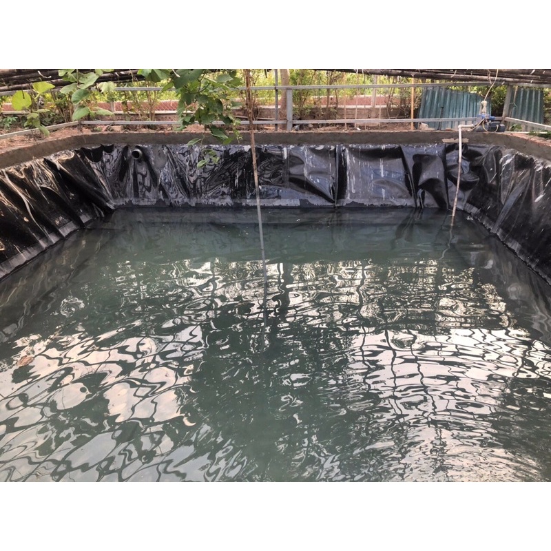 BẠT HDPE LÓT HỒ CÁ, BẠT HDPE LÓT  HỒ CHỨA NƯỚC KHỔ 6M DÀY 0.5mm