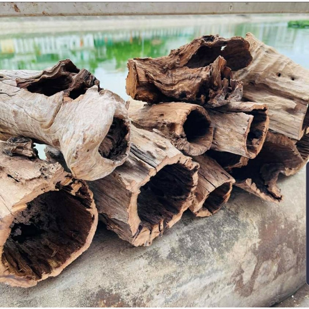 Lũa Ống San Đá Rỗng - 1Kg