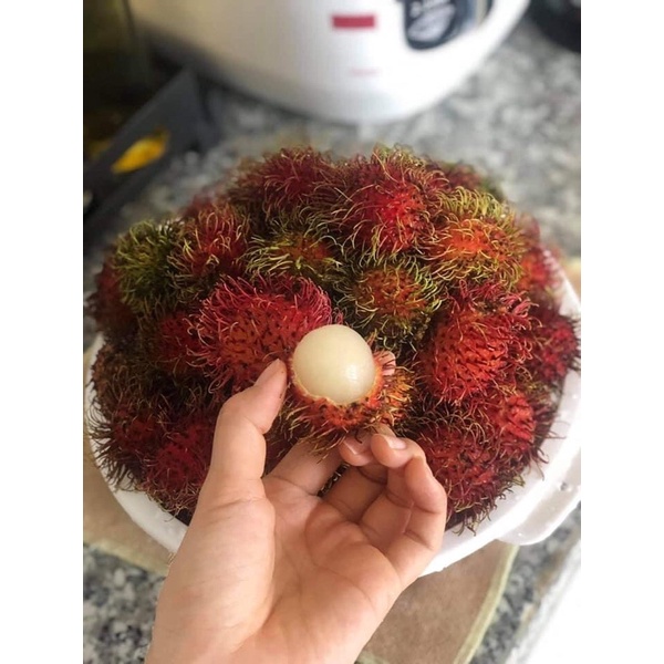 chôm chôm thái nhãn sieu ngon Long Khánh