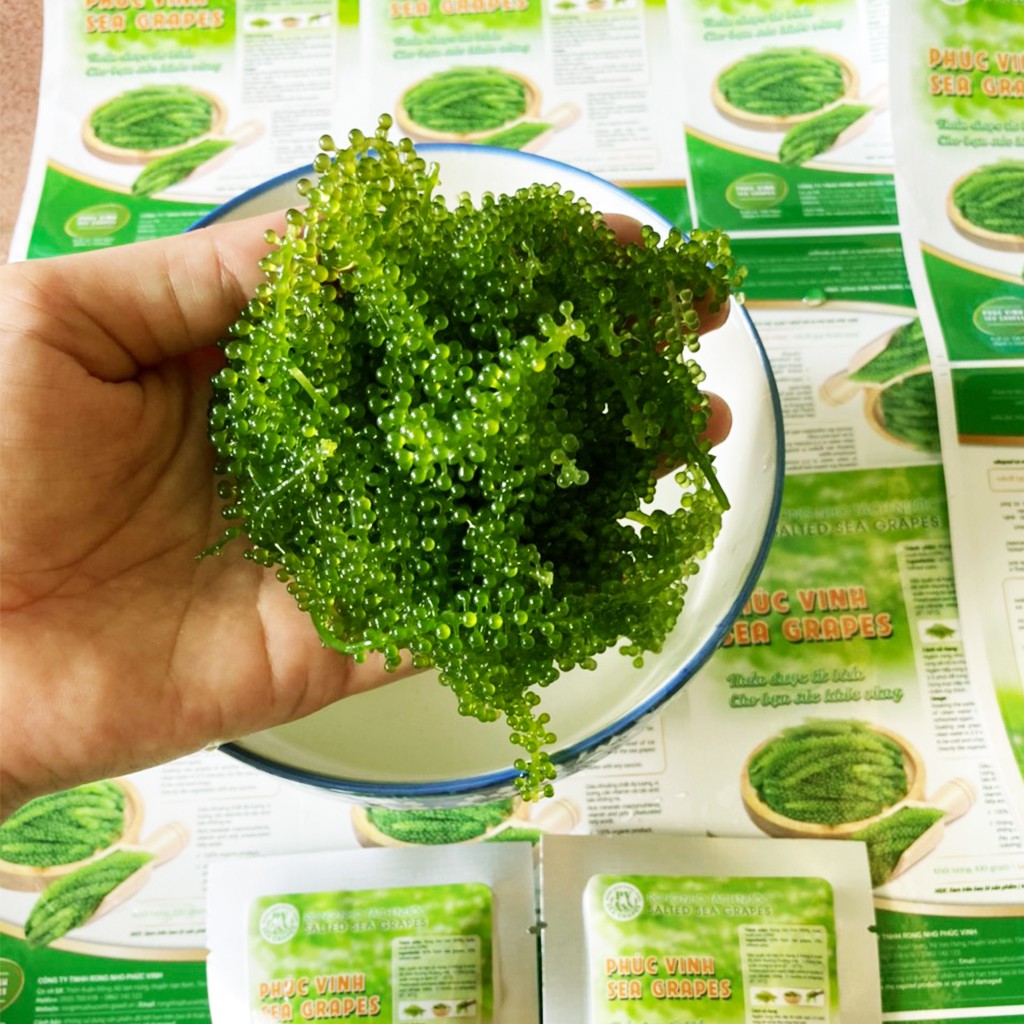 Rong Nho Tách Nước Phúc Vinh gói 25gr Ăn Liền Thơm Ngon Giòn Giòn - Hàng Loại 1 | BigBuy360 - bigbuy360.vn