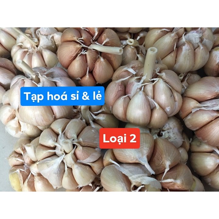 Tỏi phan rang 500g / 1kg