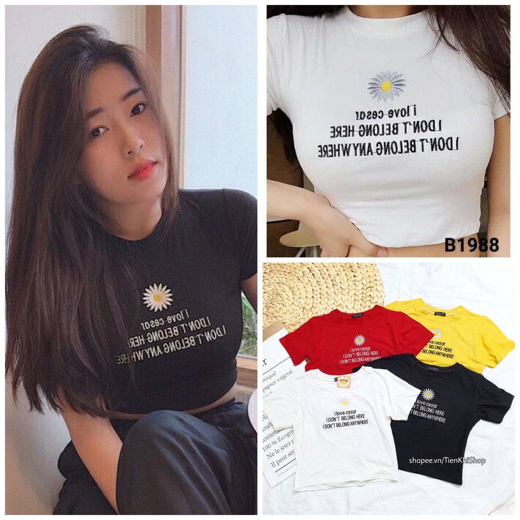 HÌNH THẬT Áo thun croptop hoa cúc phom ôm