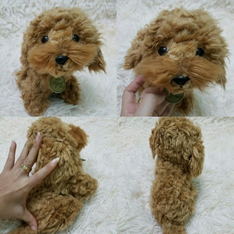 Gấu bông con chó Poodle giống như thật 35cm
