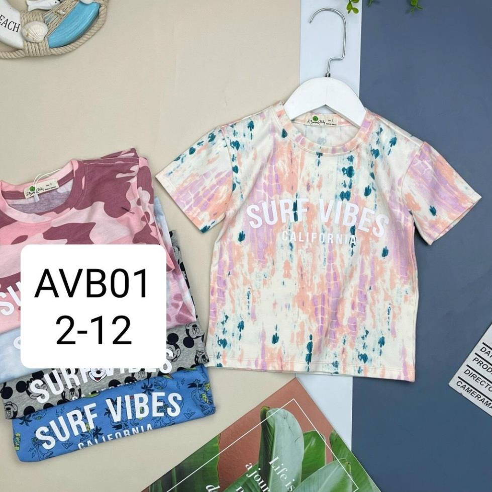 Áo LITIBABY chất vải cotton vibes AVB01