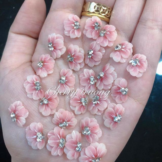 Hoa bột _ hoa cúc ôm móng