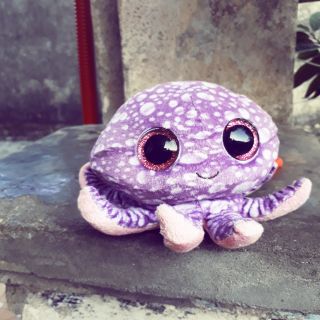 Gấu bông tím