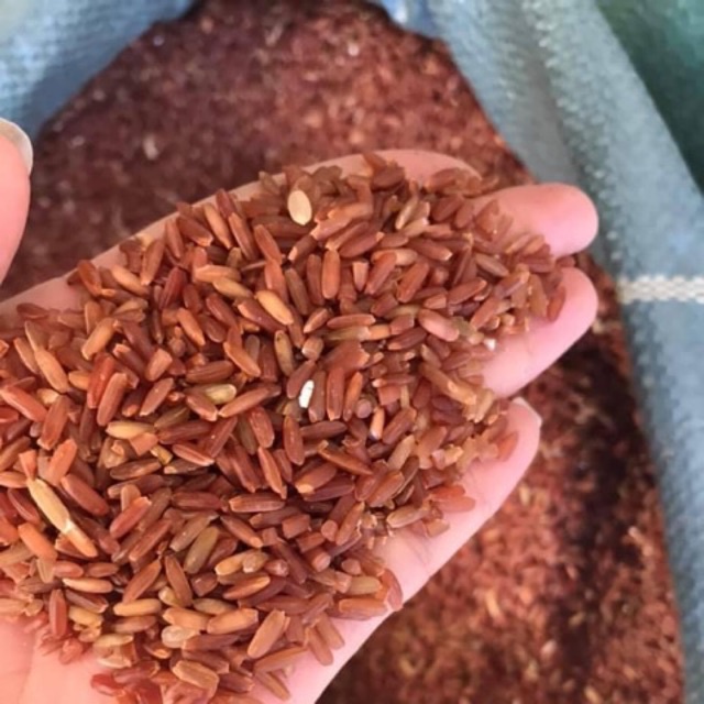 Gạo lứt huyết rồng 500gr - video thật | Bột Natural